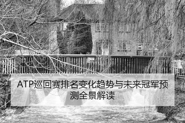 xun-hui-sai-pai-ming-bian-hua-qu-shi-yu-wei-lai-guan-jun-yu-ce-quan-jing-jie-du-3-487.jpg